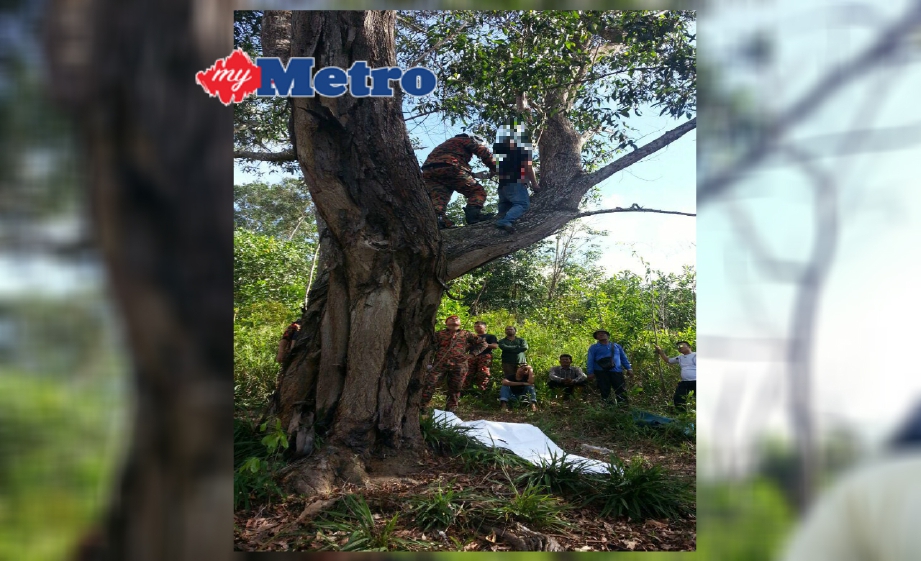 Mayat lelaki ditemui tergantung di dahan pokok di kawasan hutan di Kampung Baru. FOTO Mohd Adam Arinin