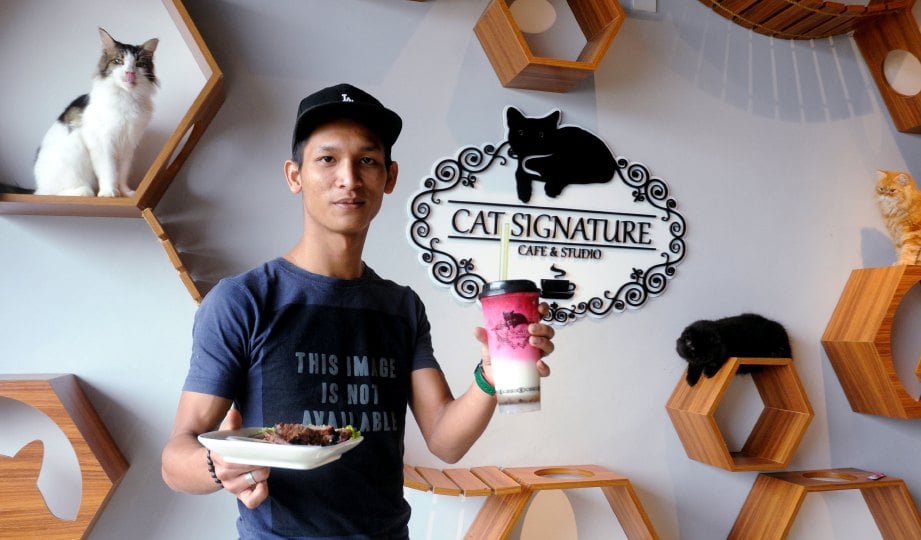 ALIFF bersama sajian menarik Cat Signature Cafe.