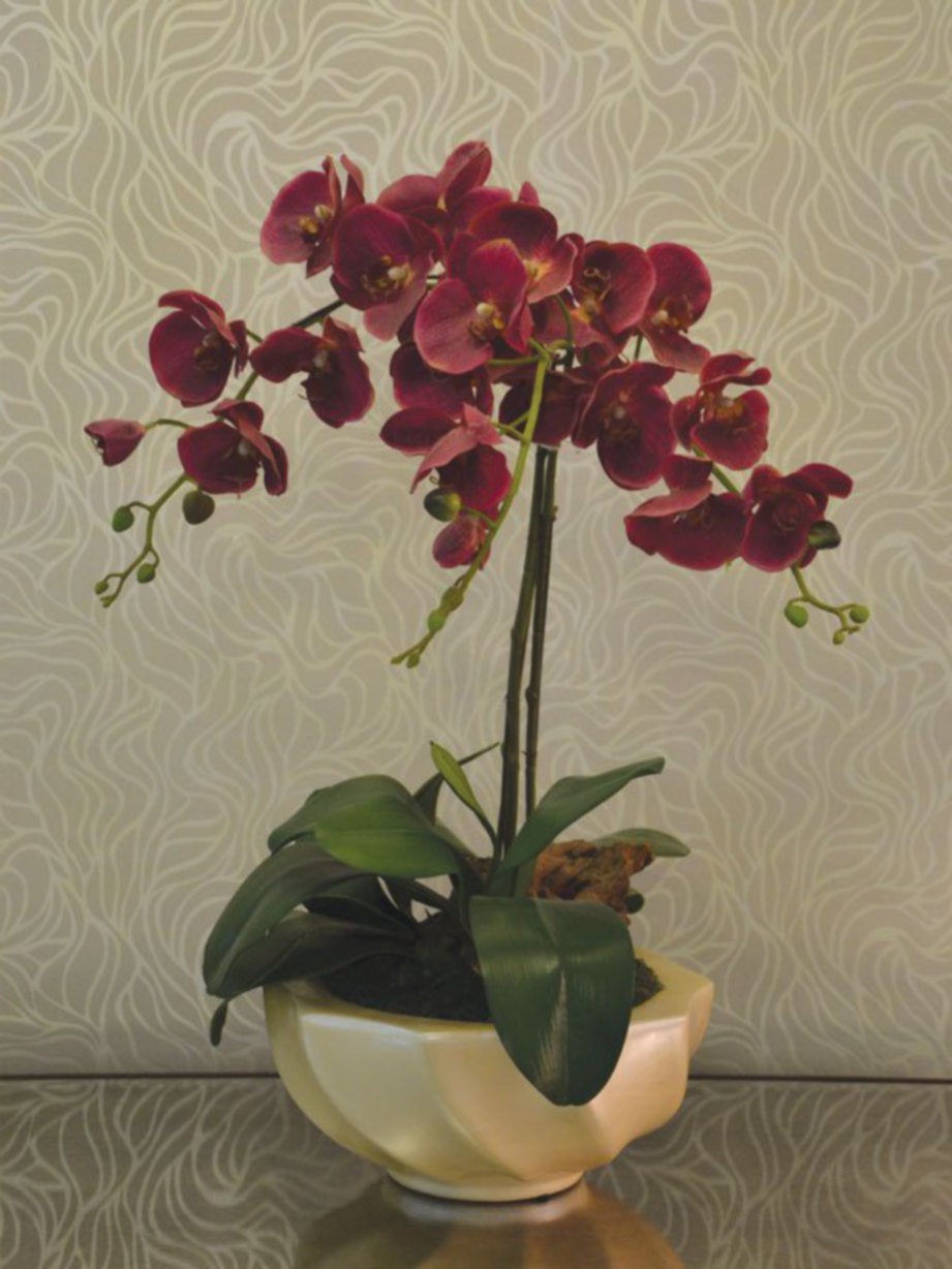 HIASAN bunga orkid membangkitkan elemen segar di satu sudut ruang tamu.