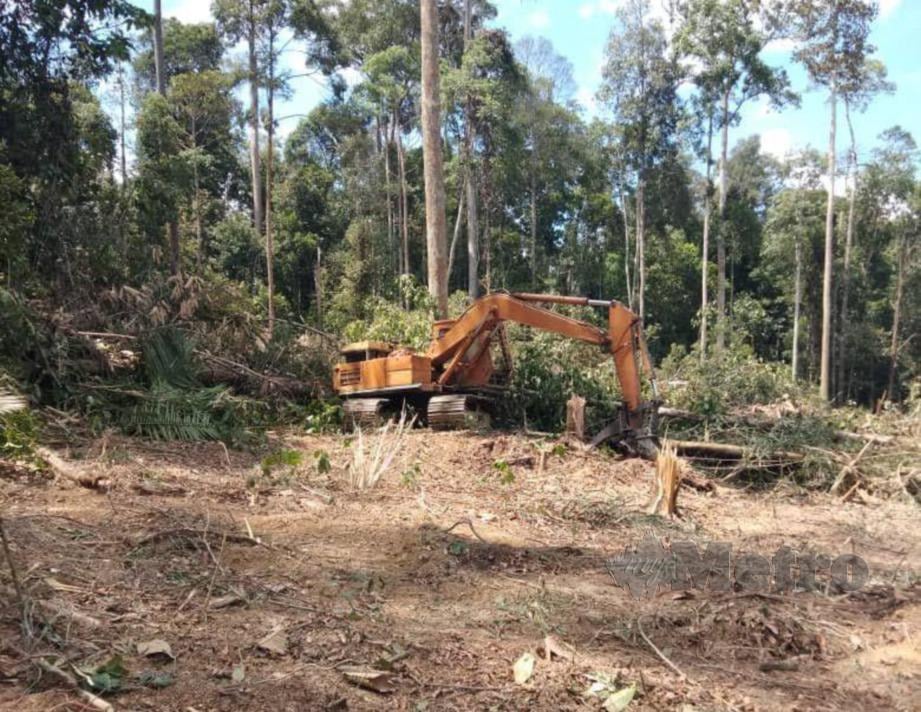 JENGKAUT yang digunakan untuk membersihkan kawasan hutan tanah kerajaan terletak bersebelahan dengan Hutan Simpan Jengka. FOTO MOHD RAFI MAMAT