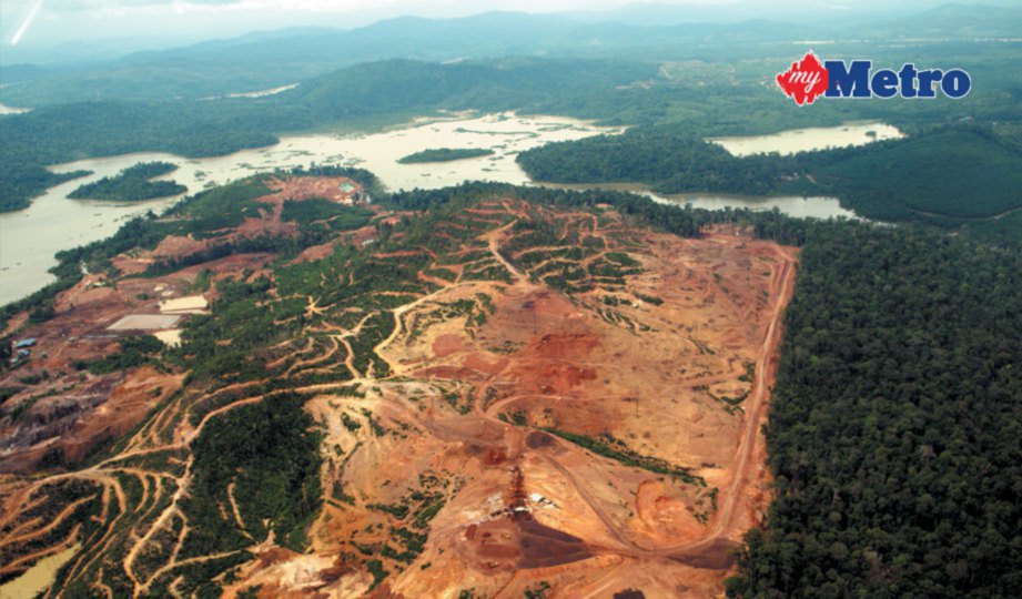 KEADAAN kawasan hutan persekitaran Tasik Chini yang diteroka pada  2013. FOTO Ihsan PPTC