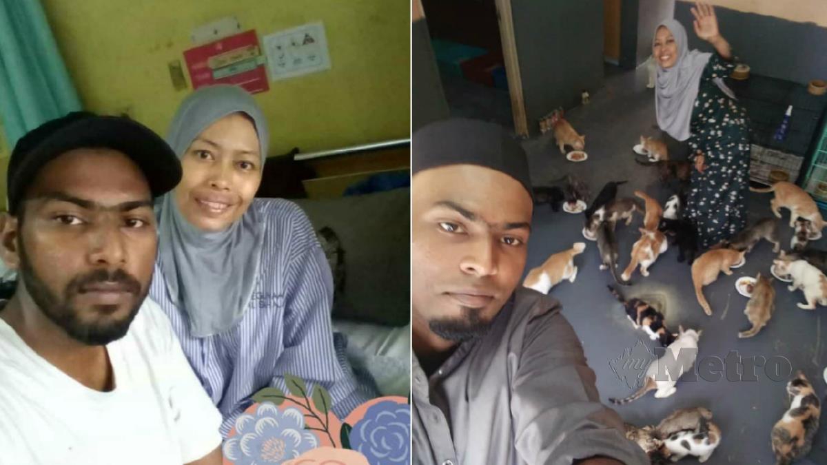 SITI Nur Hidayah dibantu suami, Muhamad Bashir menguruskan  40 kucing peliharaannya. FOTO Ihsan Siti Nur Hidayah Abdullah