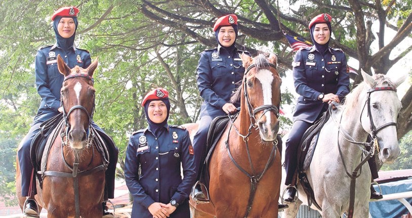 14+ Unit berkuda polis diraja malaysia info