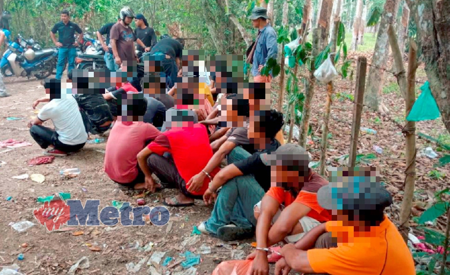SEBAHAGIAN daripada individu disyaki penagih yang ditahan di Kampung Baru, Sungai Tiang, Pendang. FOTO Ihsan PDRM