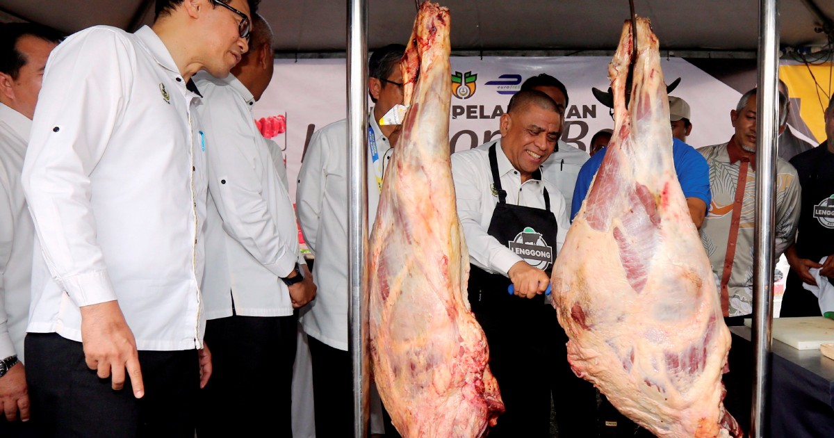PPPNP tingkatkan pengeluaran daging lembu halal tempatan