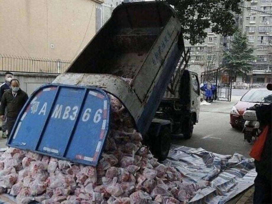 SUKARELAWAN  terpaksa menggunakan lori sampah untuk menghantar 1,000 beg daging sejuk beku. FOTO Agensi 