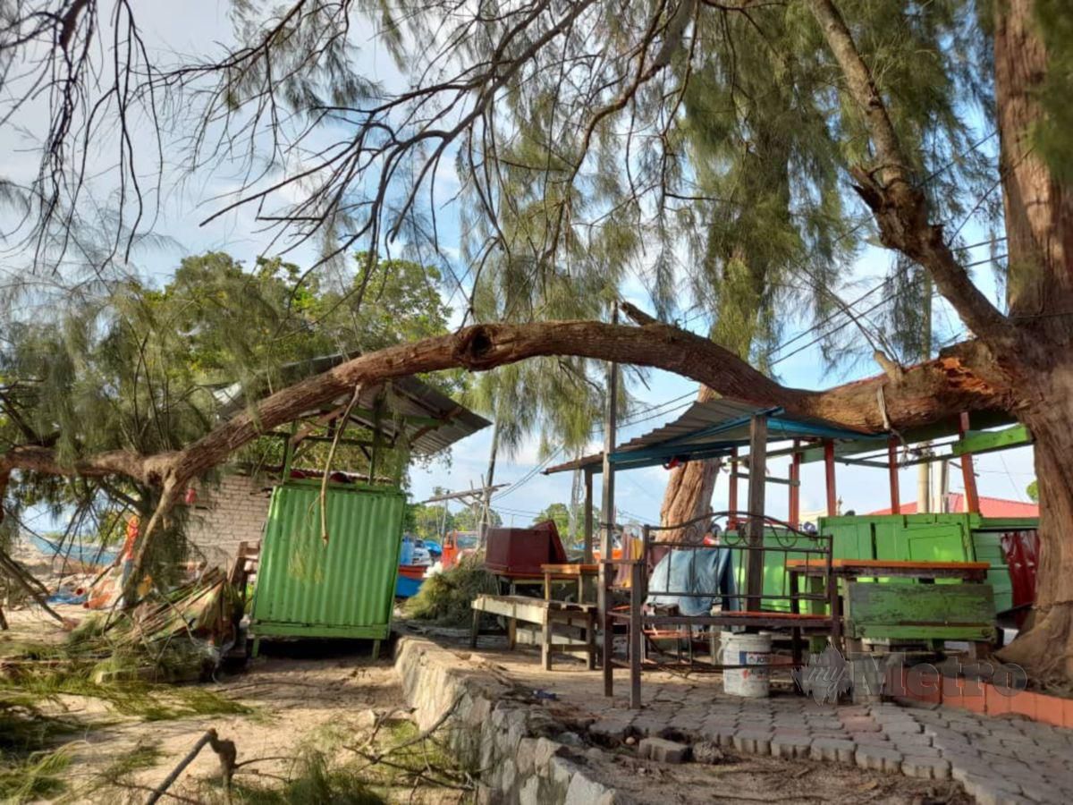 DAHAN pokok patah dan menghempap pondok dan tempat nelayan menyusun rawai di pantai Pengkalan Balak, Masjid Tanah. FOTO HASSAN OMAR