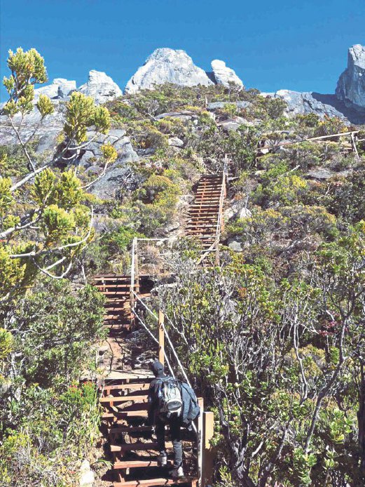 SEBAHAGIAN laluan baru ke puncak Kinabalu yang perlu mendaki tangga.