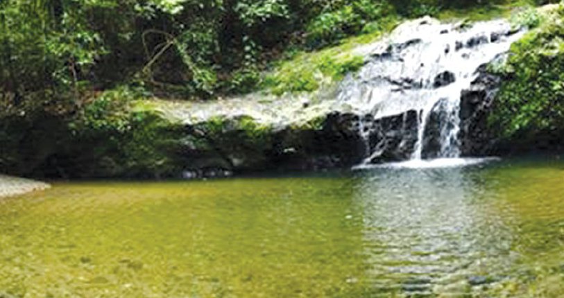 Nikmati Keindahan Hutan Di Lembah Danum Harian Metro