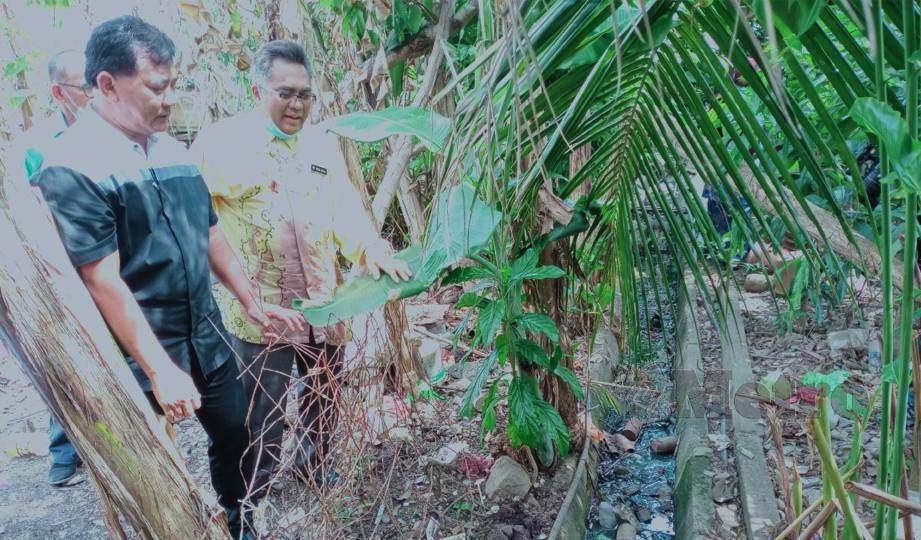 Sikap Ambil Mudah Dorong Peningkatan Denggi