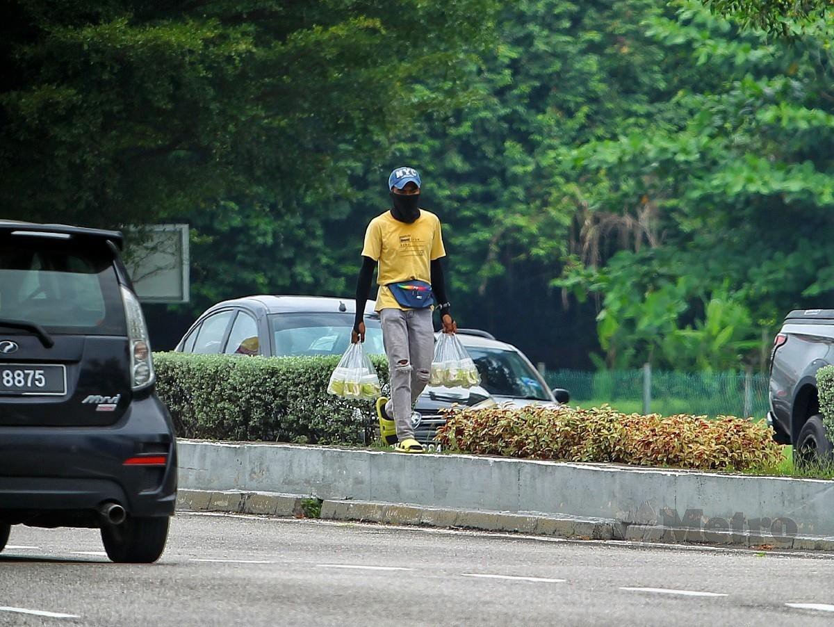 Penjaja mangga jalanan di persimpangan lampu isyarat di daerah ini. Foto Azrul Edham.