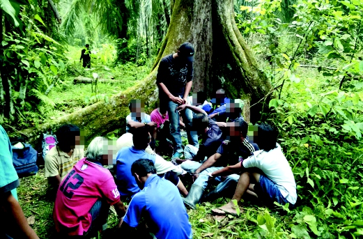 Polis menahan 15 lelaki terbabit dalam kegiatan dadah di sekitar kebun kelapa sawit Kampung Carok Juang Pantai Besar, Batu Kurau.