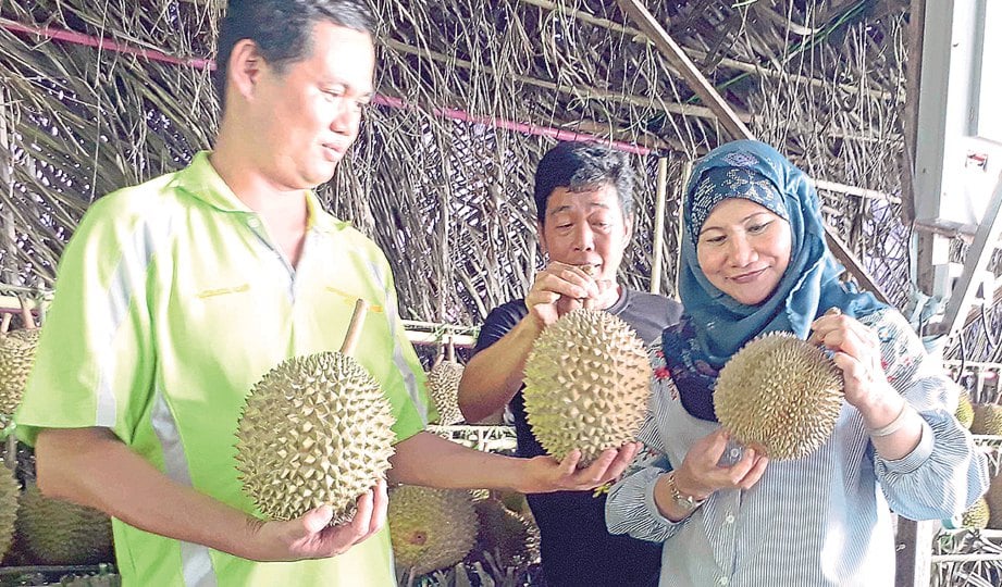 SURAYA (kanan) dan Saw (kiri) menunjukkan durian yang boleh dinikmati pengunjung.