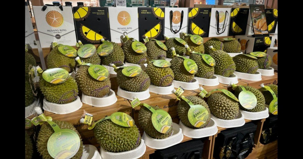 Durian segar Malaysia dijual di China mulai hari ini