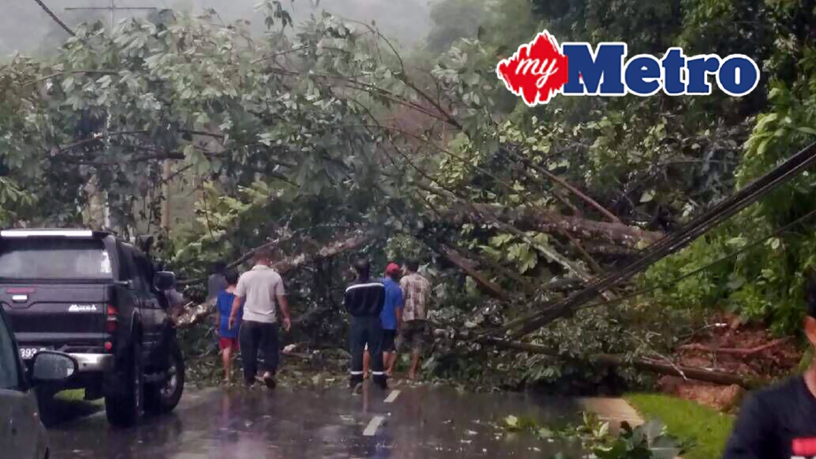 LALUAN Jalan Kiulu-Tamparuli berhampiran Kampung Malangang Baru masih ditutup sejak jam 4 petang akibat berlaku pokok tumbang. FOTO Recqueal Raimi