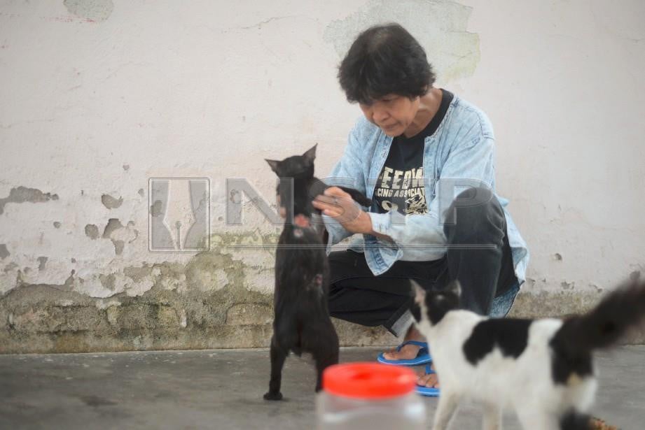 Tolong potong kucing [METROTV]