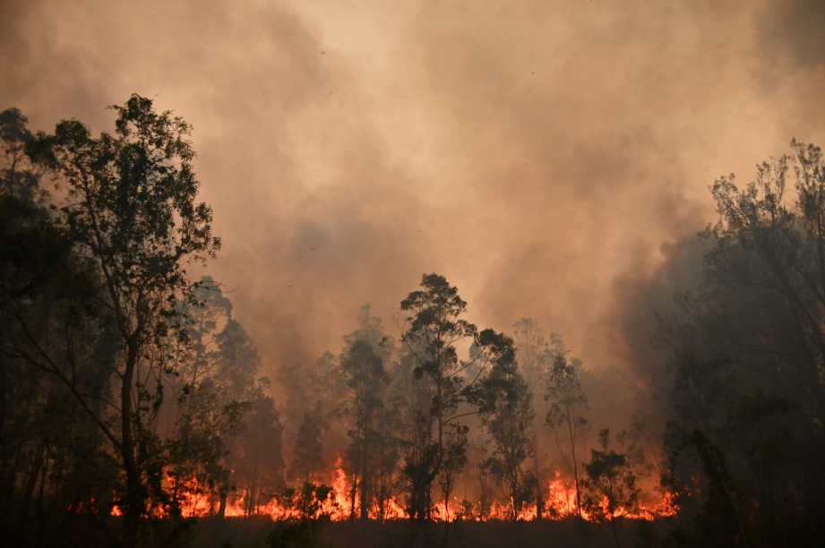 KEBAKARAN hutan yang berlaku di utara Sydney. FOTO AFP