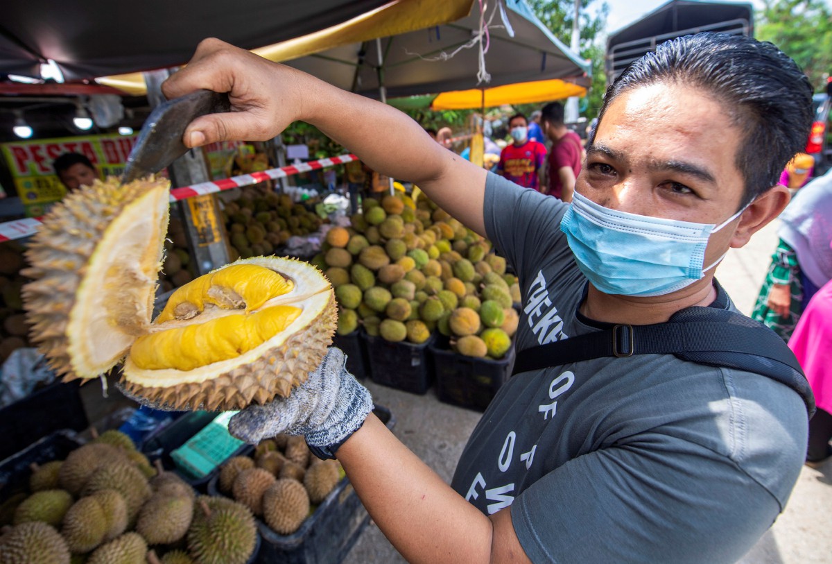 Wan Mohd Faizal menunjukkan durian Musang King yang di jual di gerainya di Jalan Tok Kenali Wakaf Stan. FOTO BERNAMA