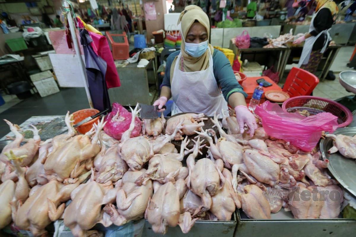 Kebanyakan peniaga menjual ayam pada harga antara RM8.50 hingga RM8.90 sekilogram sebagaimana harga maksimum runcit bagi ayam standard yang disarankan oleh pihak berkuasa. FOTO NIK ABDULLAH NIK OMAR