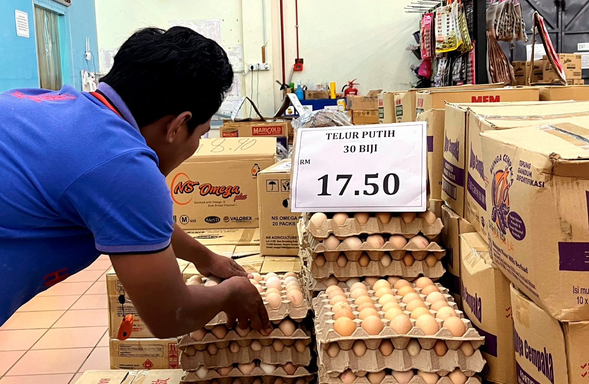 Seorang pekerja di sebuah pasaraya menyusun bekalan telur putih hari ini. FOTO BERNAMA