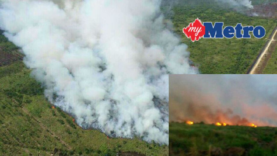 Lokasi kebakaran di Hutan Simpan Kuala Langat Utara, api masih kelihatan di Hutan Simpan Raja Musa (gambar kecil). FOTO Ihsan JBPM