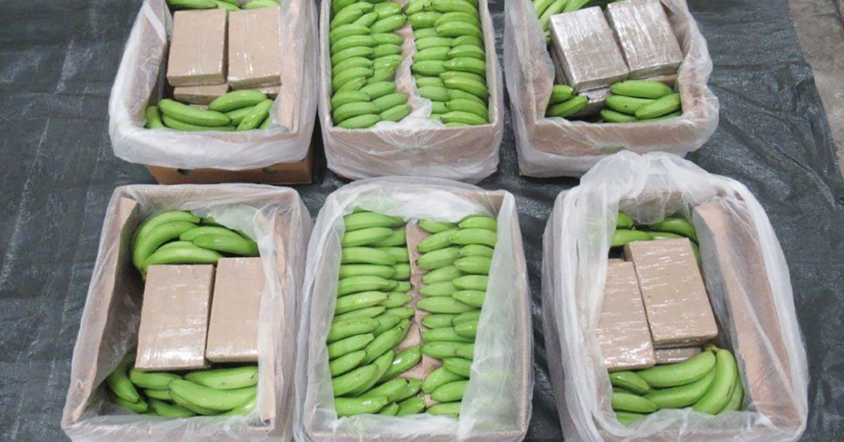 Dadah bernilai RM2.7 bilion sorok dalam kargo pisang