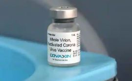 Arab saudi iktiraf vaksin sinovac