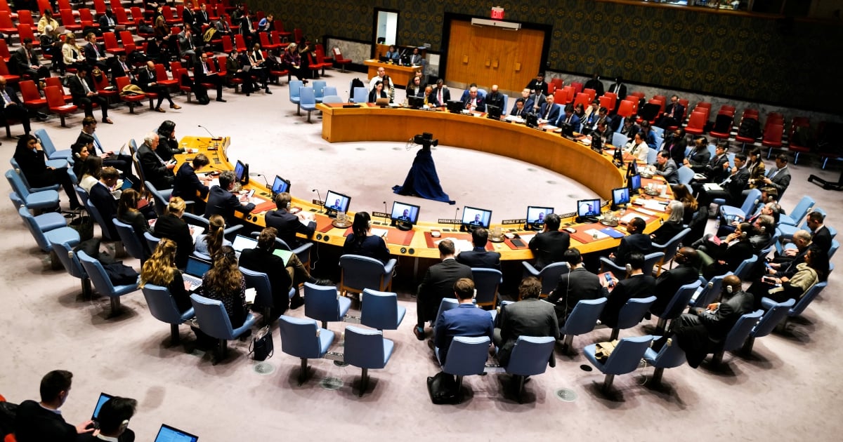 UNSC semak permohonan Palestin untuk negara anggota penuh
