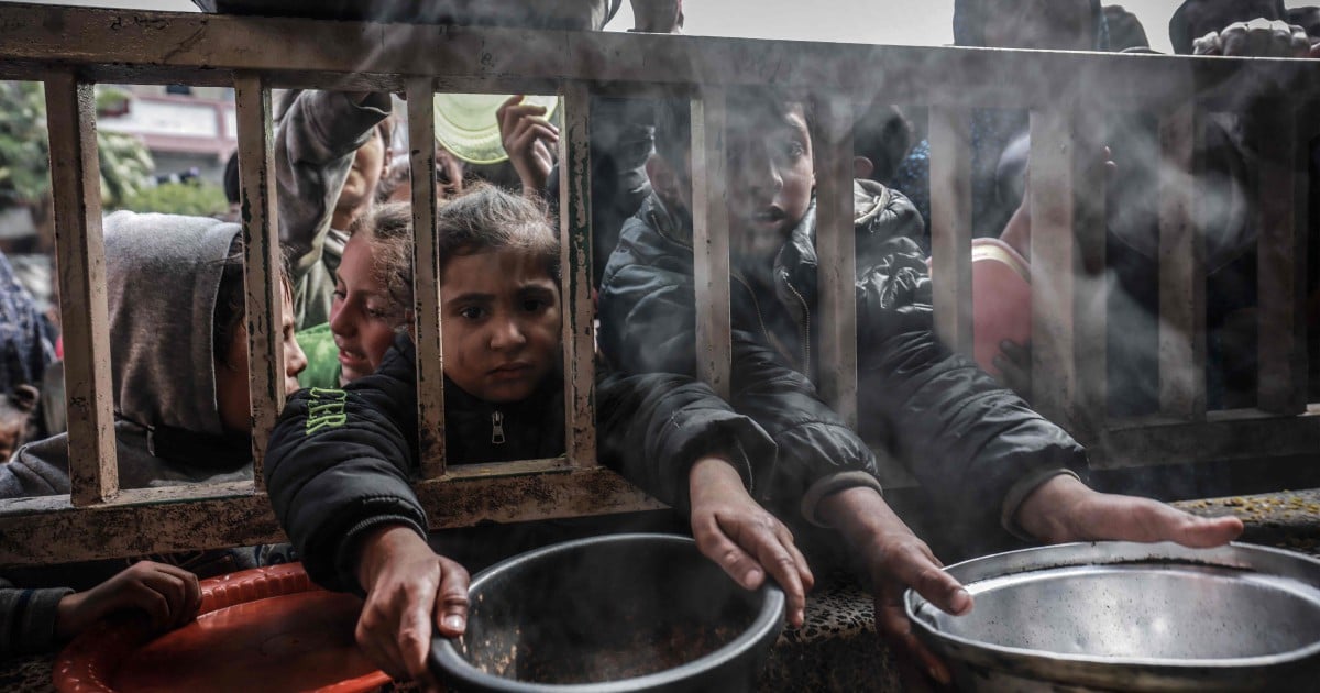 Rakyat Gaza kelaparan, terpaksa sembelih kuda, makan dedak ternakan
