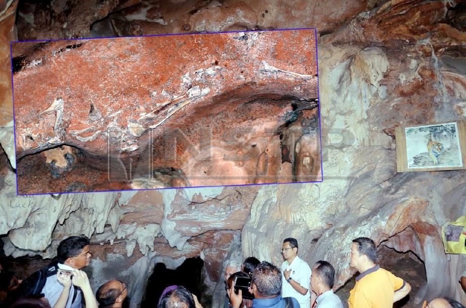 Fosil vertebrata prasejarah di dinding gua batu kapur yang ditemui pada tahun 1992 dalam Gua Naga Mas di Gunung Pua dekat Simpang Pulai. FOTO Razif Rosli 