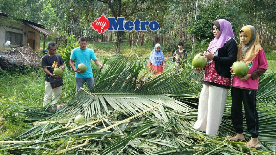 Penduduk Kampung Bukit Hijau dalam ketakutan | Harian Metro