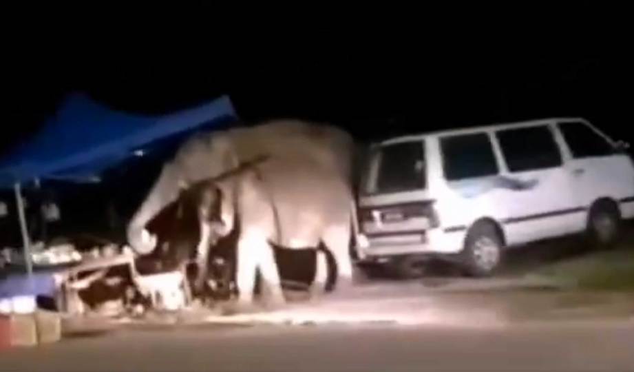 RAKAMAN video dua gajah liar berkeliaran meluru gerai penjaja buah-buahan di Batu Mawai, Kota Tinggi. FOTO Facebook