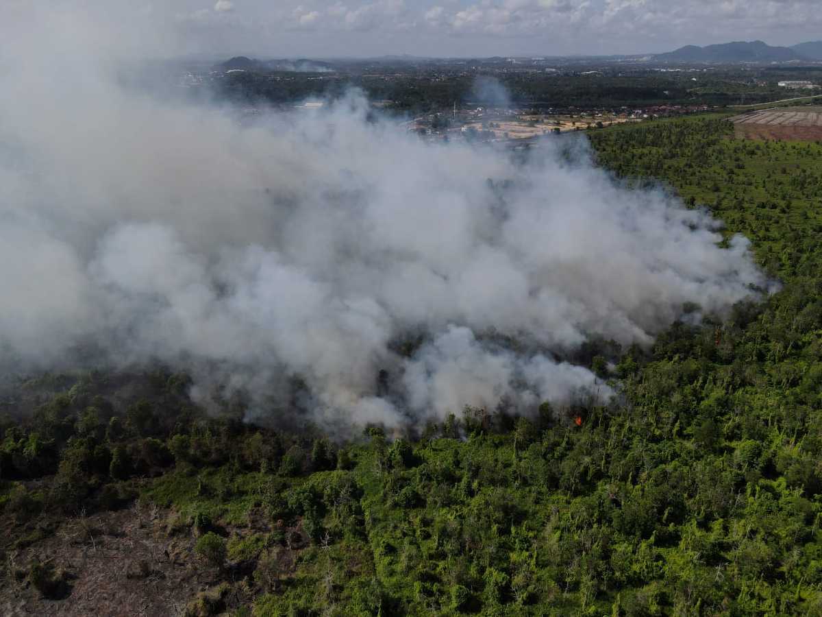KIRA-kira 30 hektar hutan di kawasan Jabatan Pertanian Inderapura terbakar akibat cuaca panas hari ini. FOTO Ihsan FB Bomba Pahang
