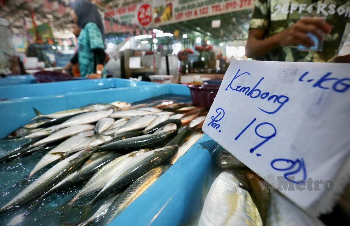 KUALA LUMPUR 08 JULAI 2023. Harga semasa ikan yang dijual di Pasar Borong Selangor, Seri Kembangan. STR/AZHAR RAMLI