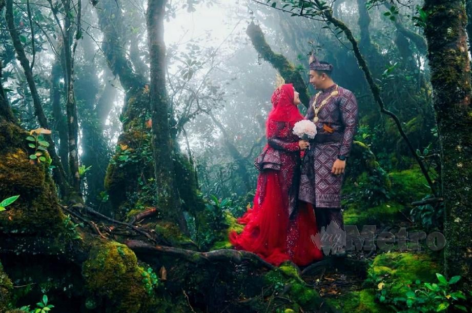 SUASANA nyaman dan indah di Mossy Forest, Gunung Berinchang, Pahang membuatkan gambar kahwin Tengku Nor Ezzah Farahana dan Abdul Rahim kelihatan unik dan mendapat pujian netizen. FOTO ihsan pembaca