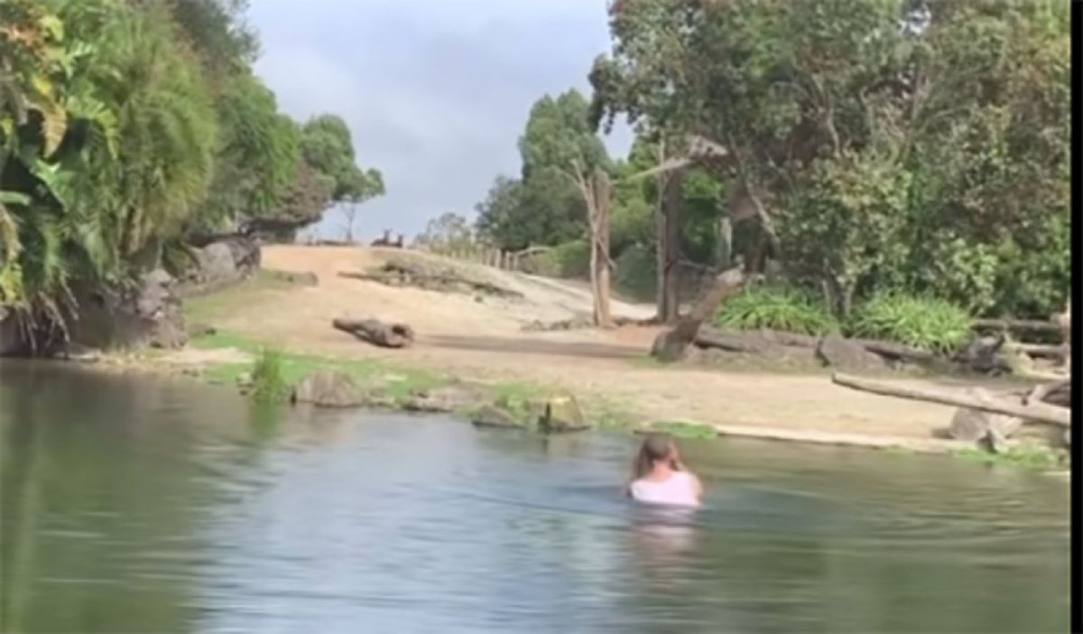 Tangkap layar daripada video yang merakam seorang lelaki mandi di kandang badak sumbu di Zoo Auckland. - FOTO Agensi