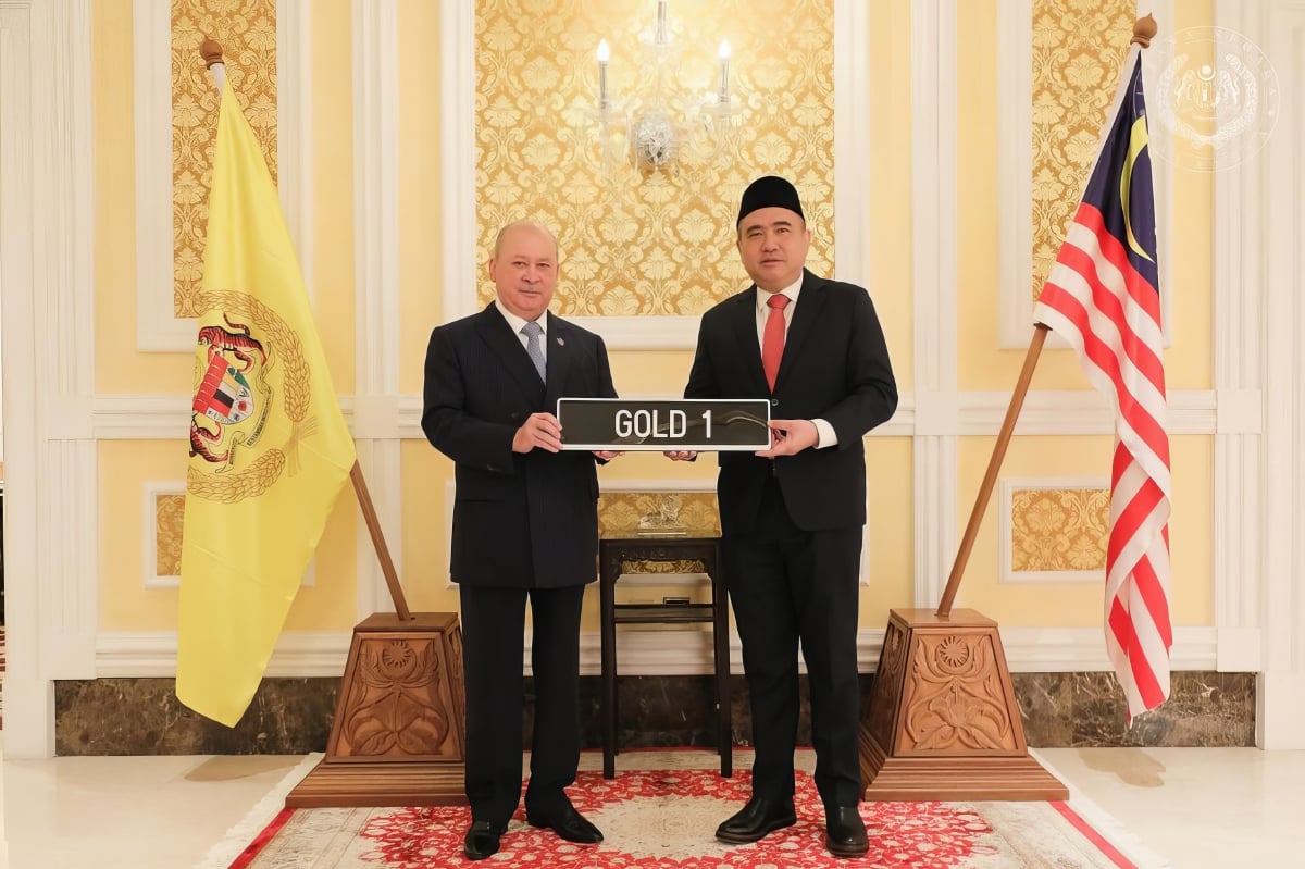 Sultan Ibrahim berkenan menerima mengadap Anthony Loke  di Istana Negara. FOTO Instagram @officialsultanibrahim