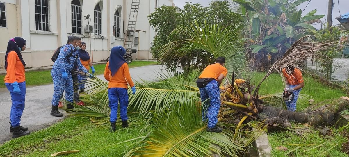 ANGGOTA APM Daerah Muallim sedang memotong  dan membersihkan dahan pokok kelapa di tepi Masjid Sultan Idris Shah II. FOTO ROSMAN SHAMSUDIN