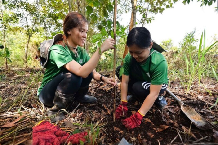 DUA sukarelawan tekun berganding bahu menanam anak pokok.