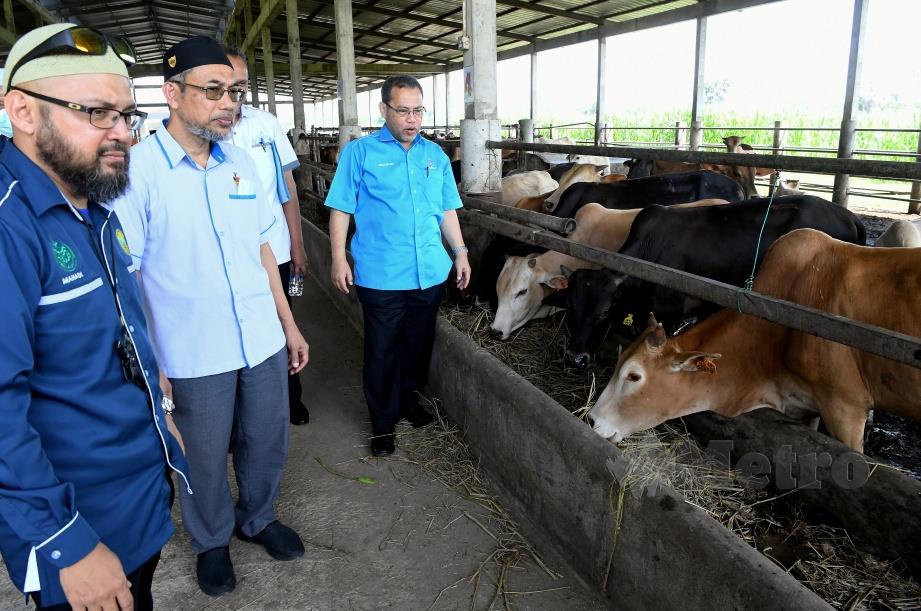BAKRI Sawir (dua dari kiri) ketika ditemui semasa mengadakan lawatan ke ladang ternakan Konsortium Kariah Masjid Malaysia Berhad (Konsormas) di Kampung Kuala Jerang. FOTO BERNAMA