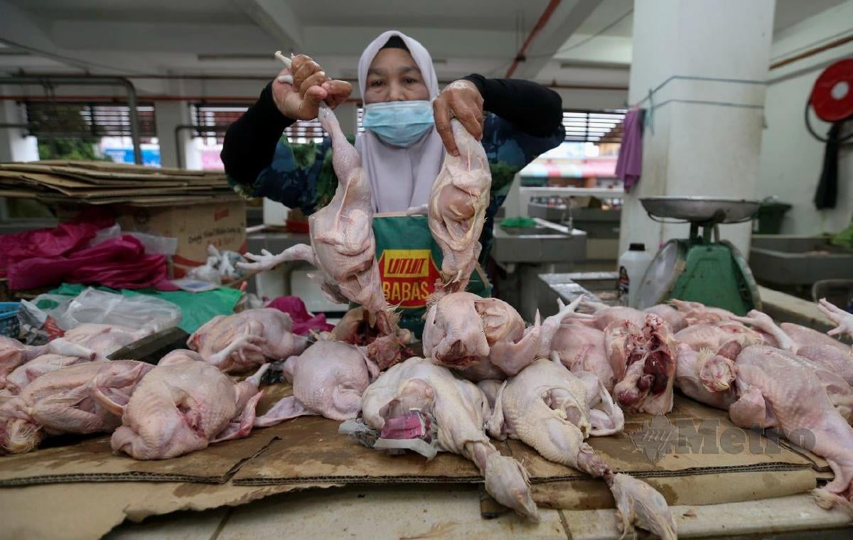 HANISAH Deraman menunjukkan ayam segar ketika tinjauan di Pasar Berek 12 di sini hari ini. FOTO NIK ABDULLAH NIK OMAR