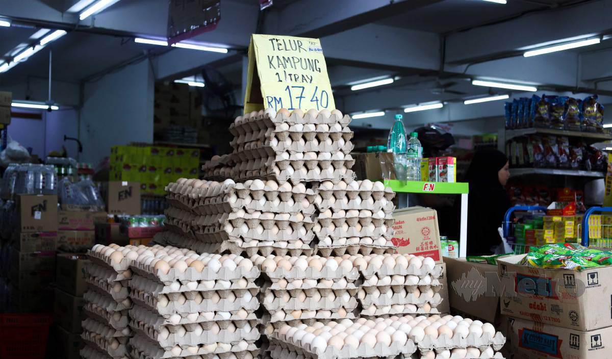 PENGELUARAN telur dan ayam di Malaysia sudah lama mencapai tahap SSL namun menghadapi sedikit gangguan rantaian bekalan pada penghujung tahun lalu. FOTO Nabila Adlina Azahari