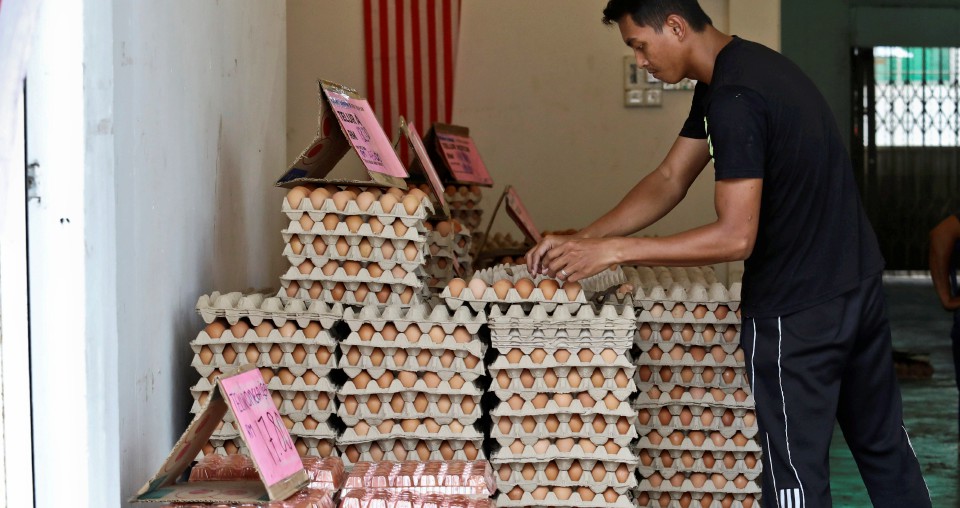 Harga Maksimum Ayam Telur Ayam Kekal Harian Metro 0073