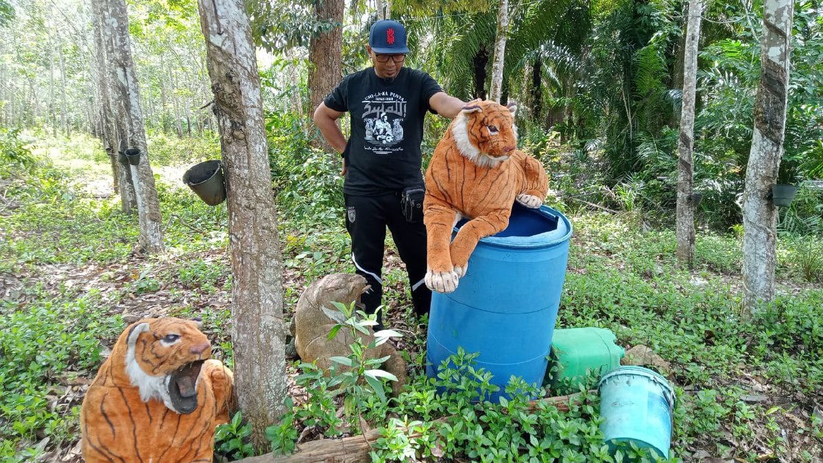 NOOR Azali menunjukkan tiga patung harimau yang diletakkan dikebun bapanya. FOTO Ahmad Ismail