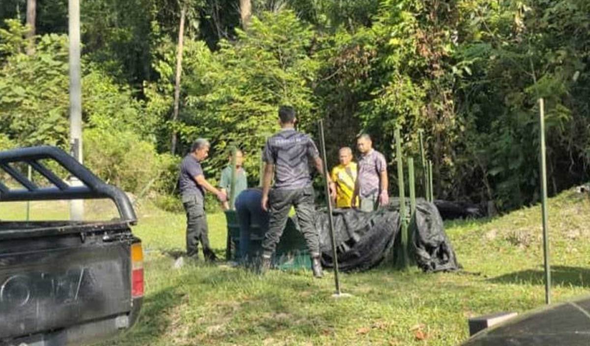 ANGGOTA Perhilitan memeriksa harimau kumbang yang berjaya ditangkap di Kuala Pilah. FOTO Ihsan Perhilitan