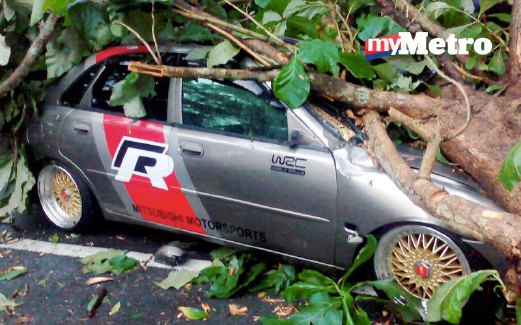 KEADAAN kereta Proton Waja milik Maswan  yang dihempap pokok akibat kejadian ribut di Kampung Batu Bertangkup.