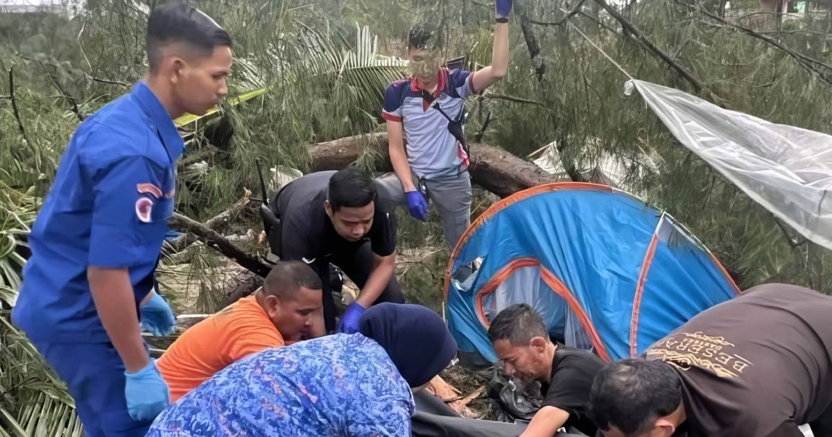 Warga emas maut dihempap pokok ketika berkhemah