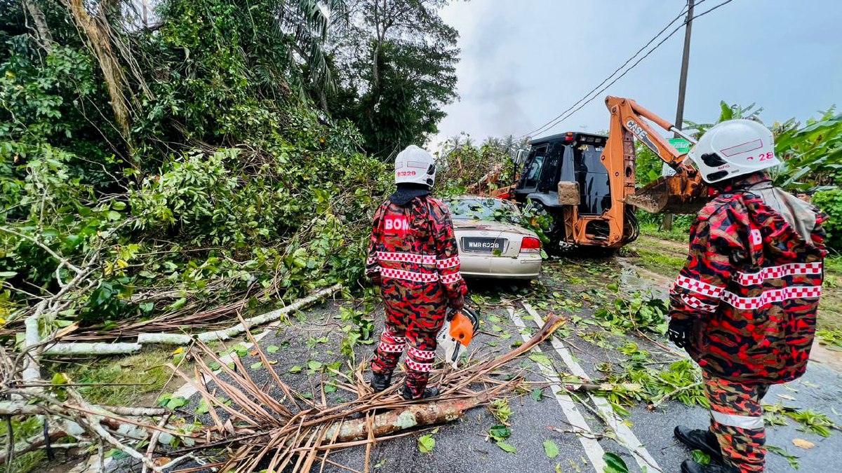 BOMBA segera melakukan kerja menyelamat sejurus dimaklum kejadian pokok tumbang menghempap kereta dipandu warga emas. FOTO Ihsan Bomba.