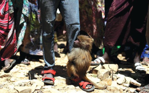 SEEKOR monyet berpaut pada kaki seorang mangsa kemarau di bandar Qol Ujeed di sempadan Habsyah-Somaliland.