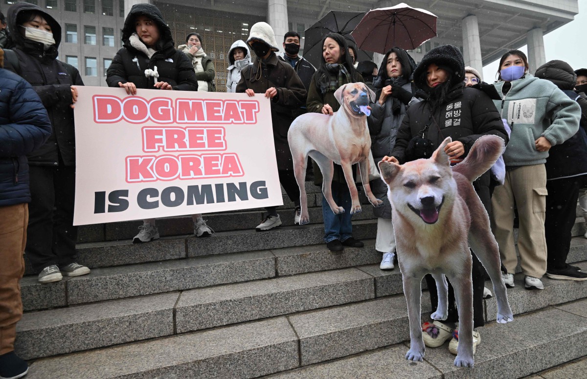 Aktivis haiwan berhimpun bagi menyatakan sokongan terhadap rang undang-undang pengharaman pengambilan daging anjing. - FOTO AFP